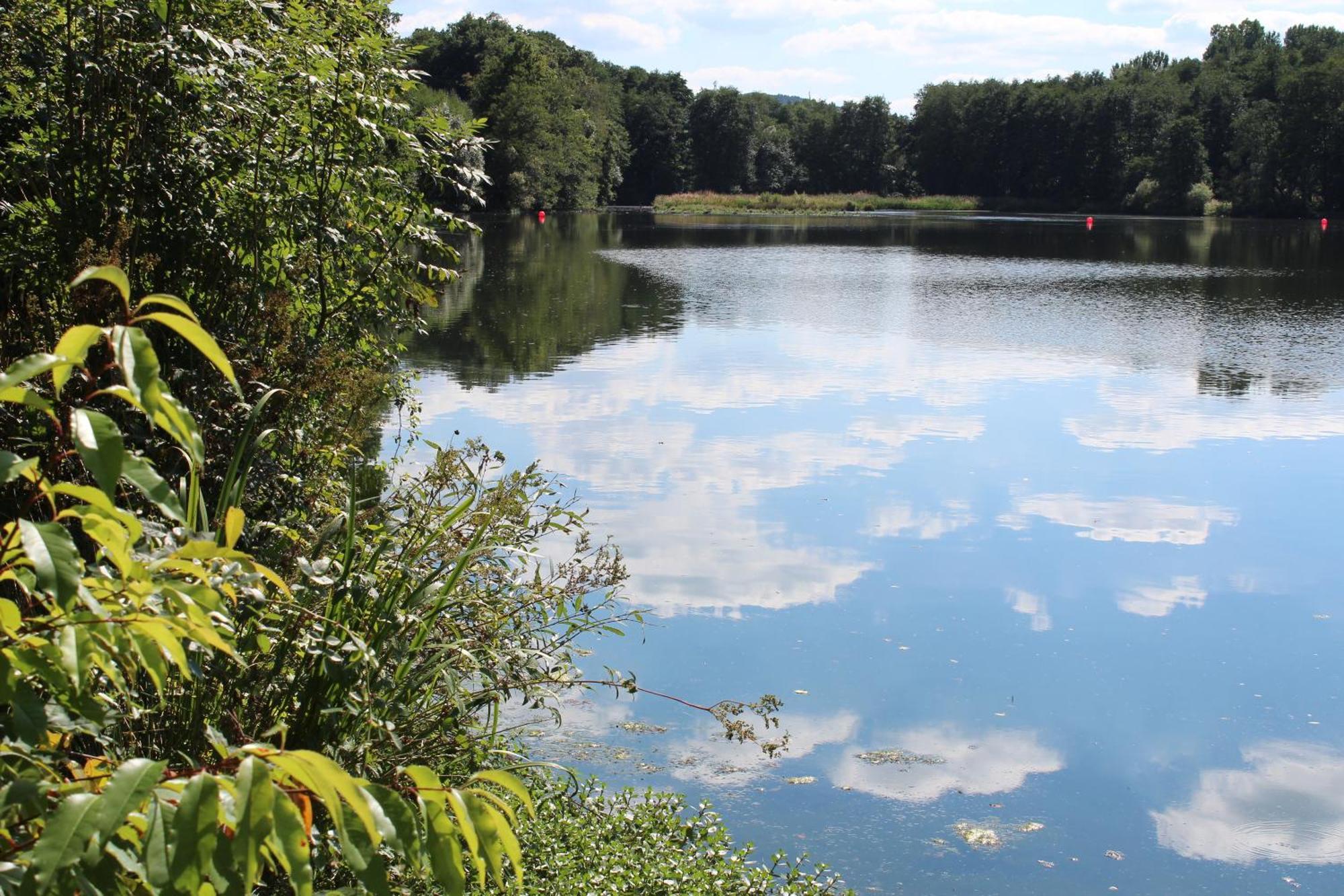 Knaus Campingpark Hennesee ميشيده المظهر الخارجي الصورة
